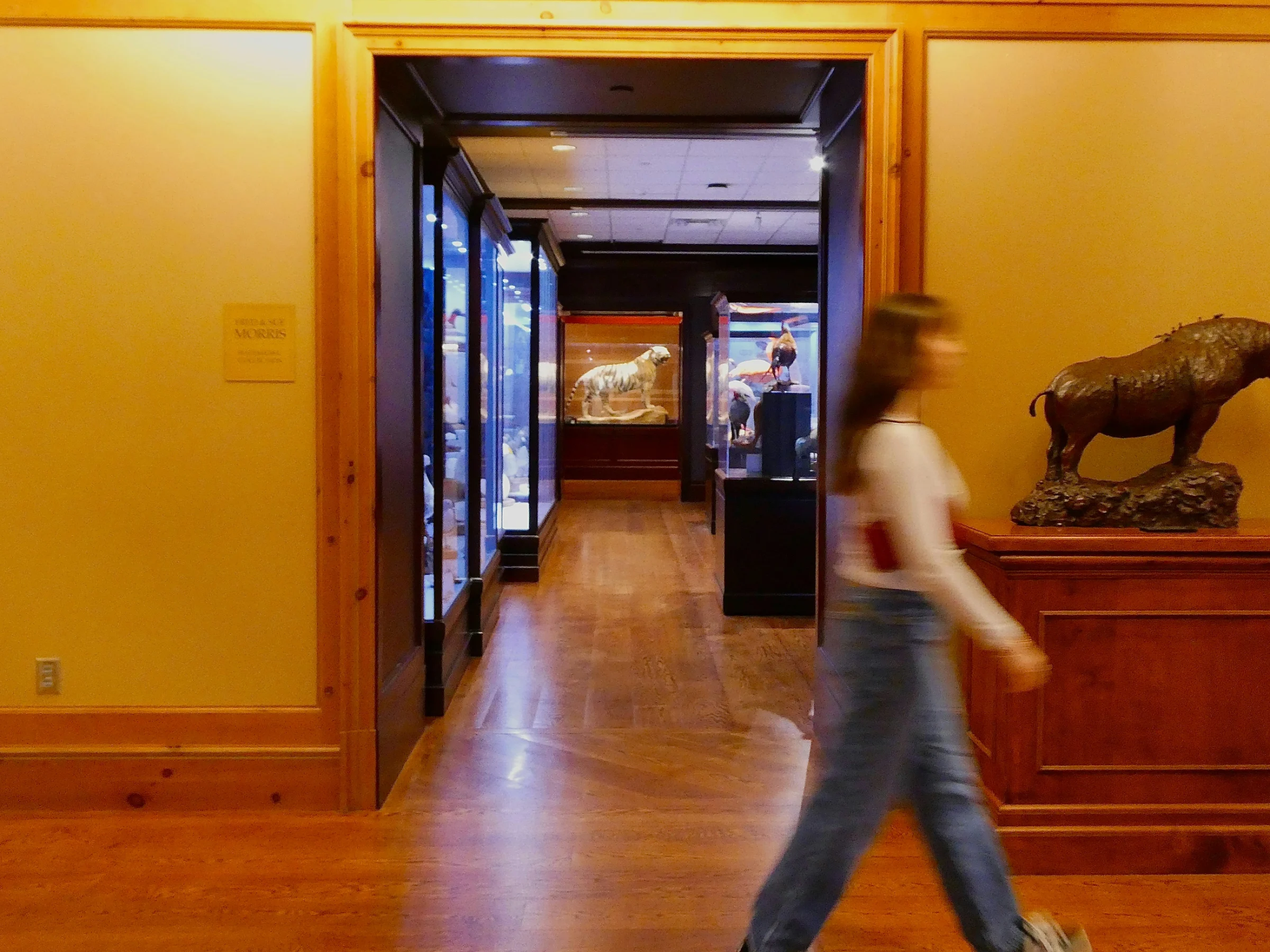 Visiteur découvrant une exposition scientifique dans un musée.